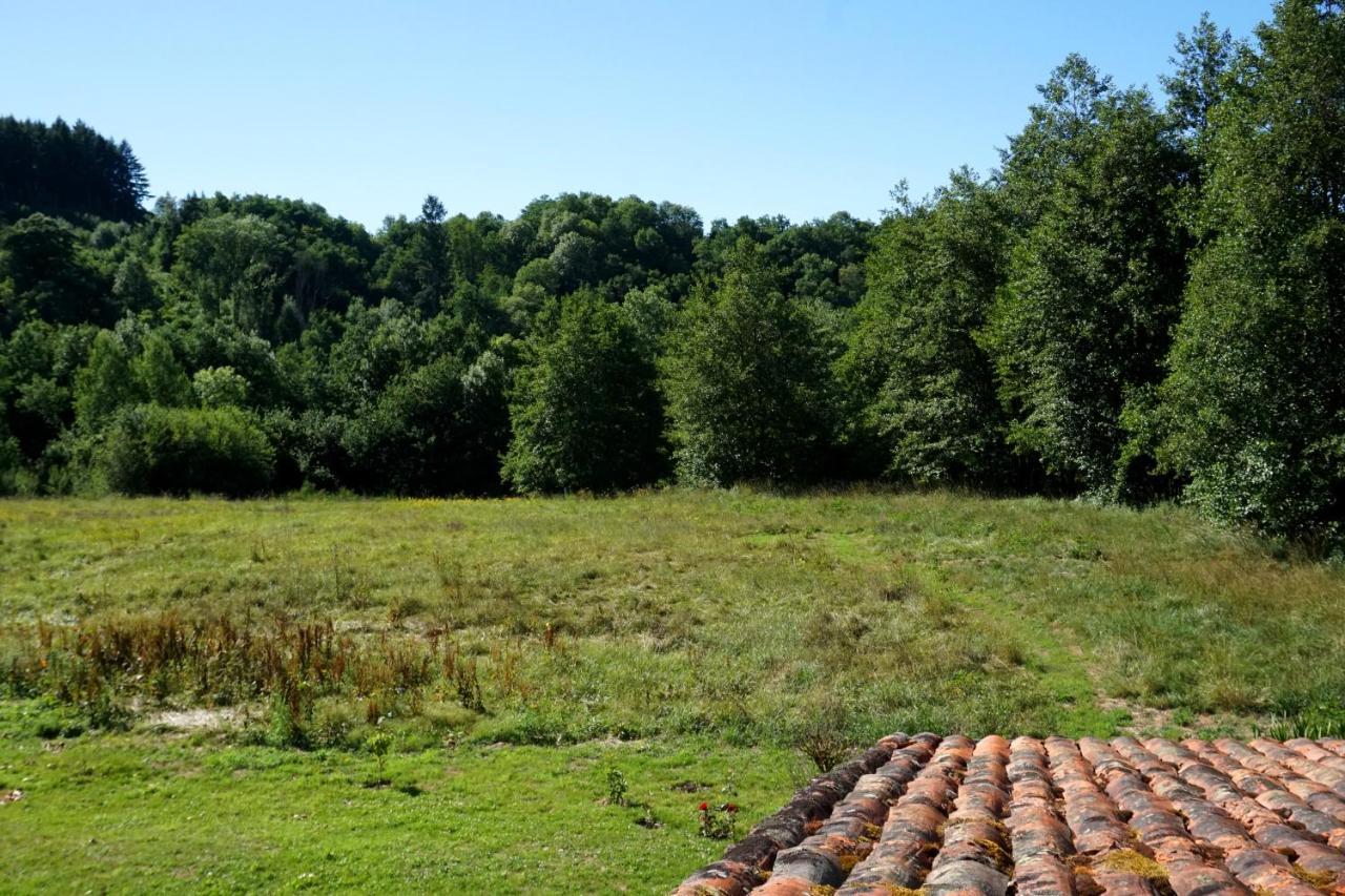 Les Neuf Bouleaux Bed & Breakfast Job Exterior foto